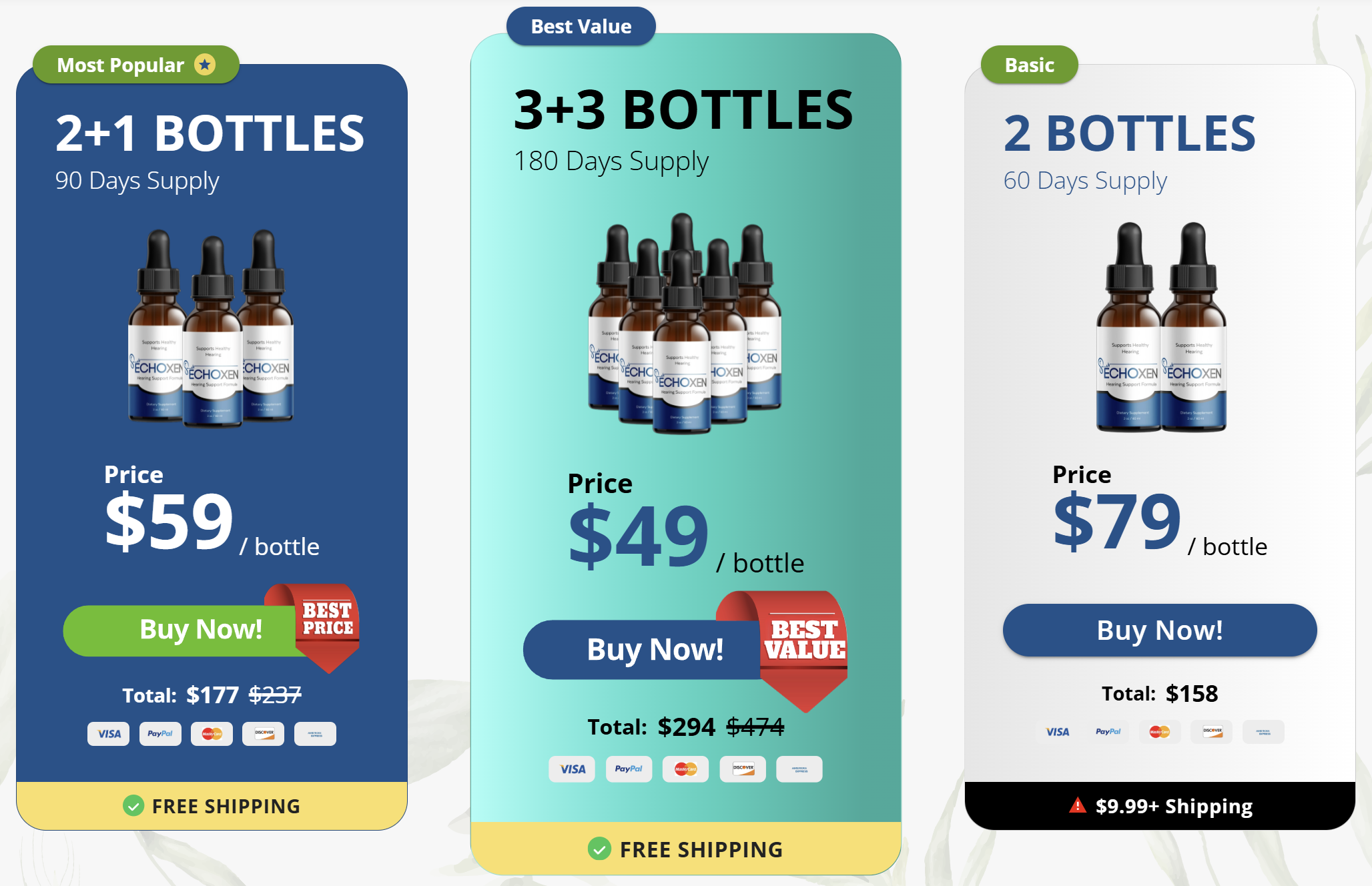 EchoXen price